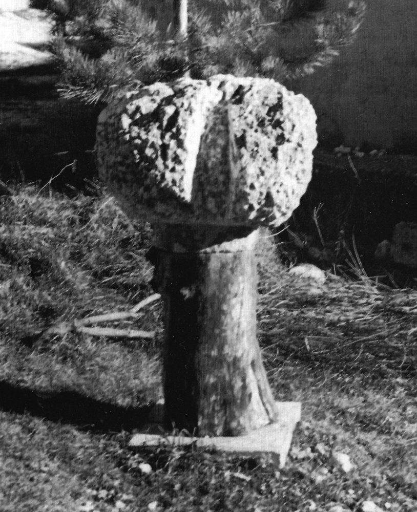 Fiore